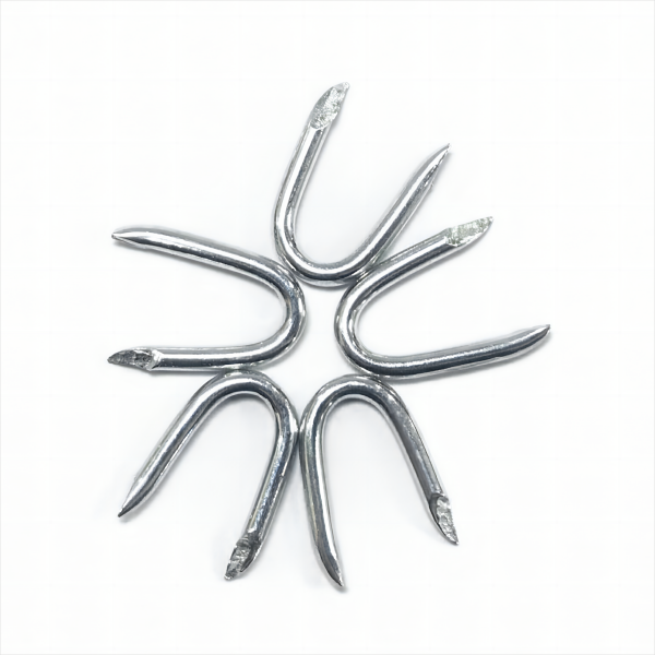 Galvanized U Type nails  Fence staples(BWG15X5/8”  1.8X16MM)